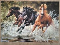 Castorland Splash - puzzle image