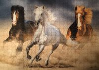 Trefl Herd of wild horses - puzzle image
