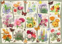 Ravensburger Cottage Garden Favourites - puzzle image