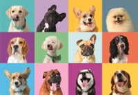 Clementoni Funny Faces - puzzle image