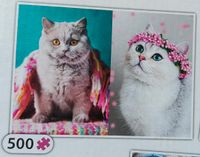 Trefl Kittens Limited Edition #2 - obrázek puzzlí