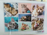 Trefl Kittens Limited Edition #3 - obrázek puzzlí