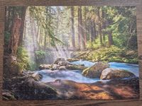 Castorland Forest Stream Of Light - obrázek puzzlí