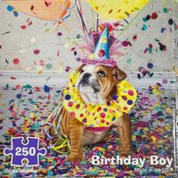 Re-Marks Birthday Boy - puzzle image