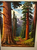 Boardwalk Sequoia - obrázek puzzlí