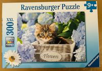 Ravensburger Tortoiseshell Kitty - puzzle image