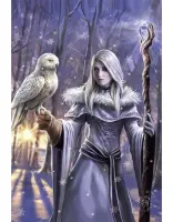 Wild Star Hearts Winter Owl - obrázek puzzlí