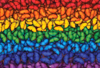 Buffalo Games Amazing Nature: Butterfly Spectrum - obrázek puzzlí