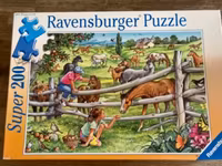 Ravensburger Paddock - puzzle image