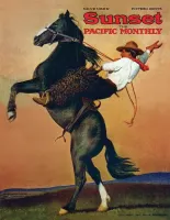 New York Puzzle Company Bucking Bronco - obrázek puzzlí