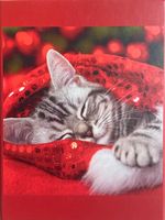 Perfectly Puzzling Red Cat - Puzzlebild