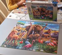 Ravensburger 13292 - obrázek puzzlí