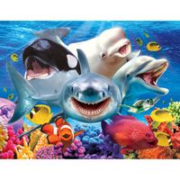 Kodak Ocean LOL - puzzle image