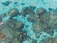 Galison Gray Malin The Beach (Matte Side) - Puzzlebild