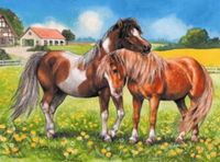Ravensburger Ponies - puzzle image