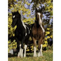 Nathan Horses - puzzle image