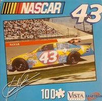 Vista Nascar - Puzzlebild