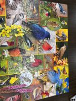 PuzzleTwist Songbird serenade - obrázek puzzlí