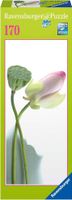 Ravensburger Pretty Rose - puzzle image