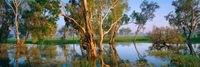 Crown and Andrews Kakadu Dreaming, NT - obrázek puzzlí