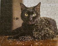 RP Minis Cats on Catnip 01 - obrázek puzzlí