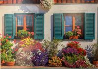 Peliko Petunia - puzzle image