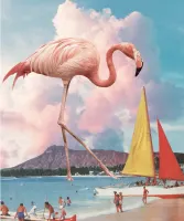 Jiggy Flamingo Playground - puzzle image