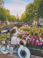 Bicycle and Flowers in Amsterdam
