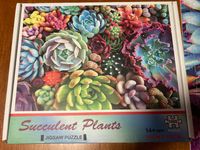 Funny Face Succulent Plants - puzzle image