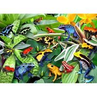 Alipson Fun Frogs - Puzzlebild