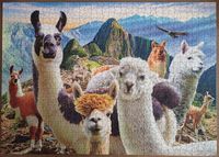 Innovakids Machu Picchu Llamas - Puzzlebild