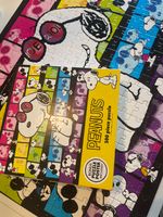 RoseArt peanuts: joe cool - puzzle image