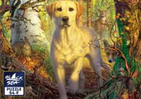 Black Sea Puzzles Adventure in the Forest - obrázek puzzlí