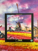 Buffalo Games Tulips in Bloom - obrázek puzzlí