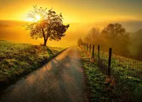 Ravensburger Landscape in morning sun - puzzle image