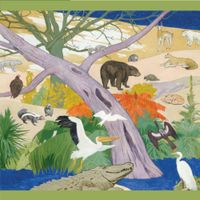 Pomegranate Birds and Animals of the United States - obrázek puzzlí