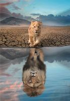Clementoni Self Reflection - puzzle image