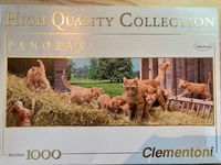 Clementoni Ginger Cat Family - puzzle image