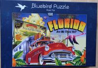 Bluebird Road Trip - image du puzzle