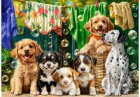 Castorland Puppies, Laundry and Bird Antics - puzzle image