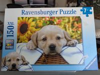 Ravensburger Puppy Picnic - puzzle image