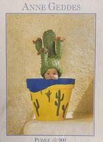 Schmidt Cactus Pot - puzzle image