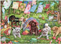 Falcon Puppies in the garden - obrázek puzzlí