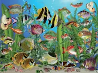 Cobble Hill Aquarium - puzzle image
