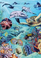 Heye Tropical waters - obrázek puzzlí