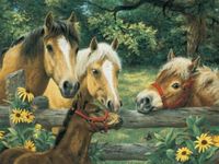 Ravensburger Horse Whispers - obrázek puzzlí