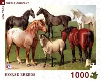 New York Puzzle Company Horse Breeds - obrázek puzzlí