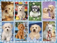 Ravensburger Puppies - puzzle image