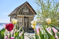 Ravensburger Pfahlbauten Bodensee - puzzle image