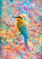 Enjoy Happy Bird - obrázek puzzlí